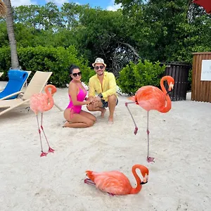 Bavaro Suites Pool Ducassi-sol Caribe Appartement